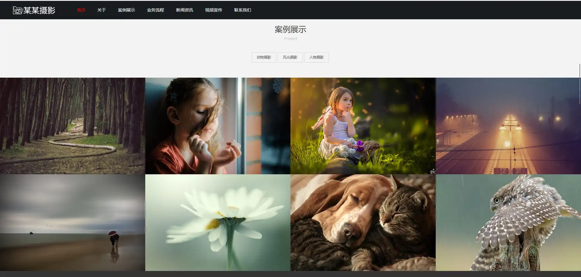 大气摄影工作室eyoucms网站模板